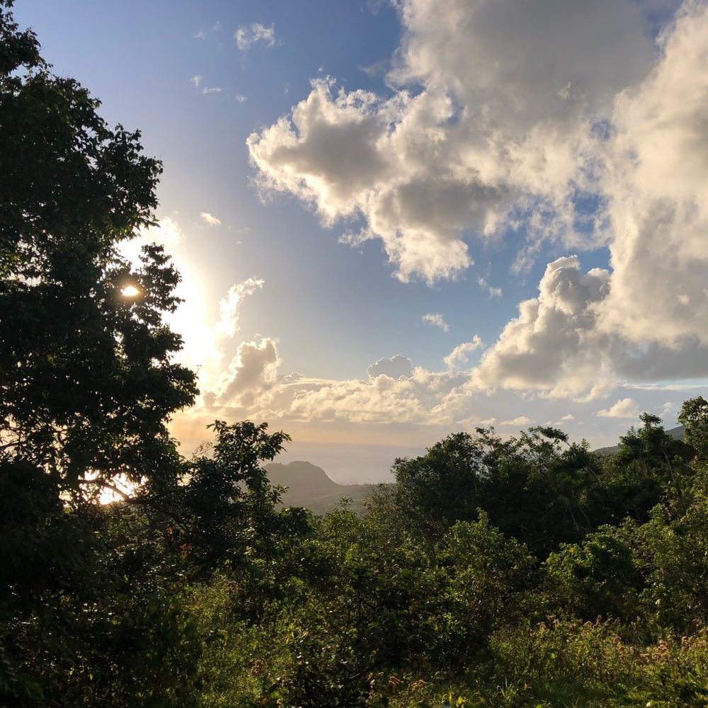 Meet your Posher, Kaylie